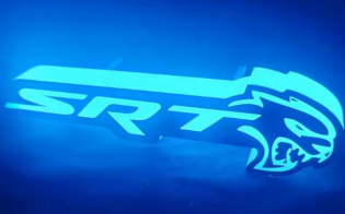 SRT CAT HEAD
